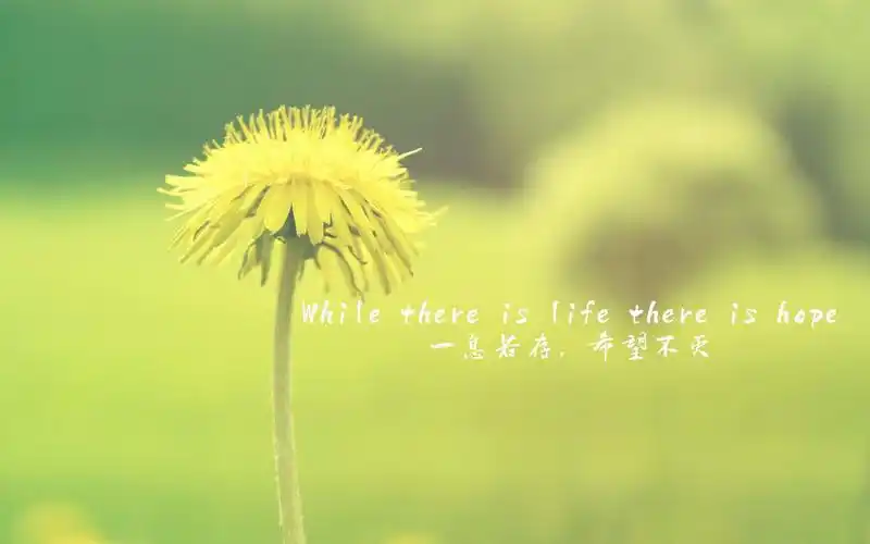 文字控唯美小清新宽屏桌面壁纸