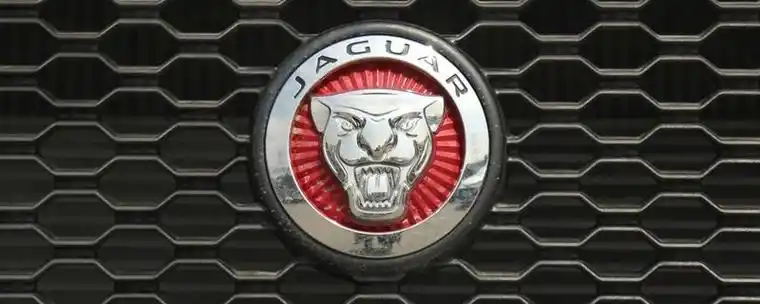 车标是个老虎头张着嘴的车品牌是捷豹