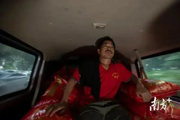 1米5阿叔一肩扛起9袋大米:扛的是一个家