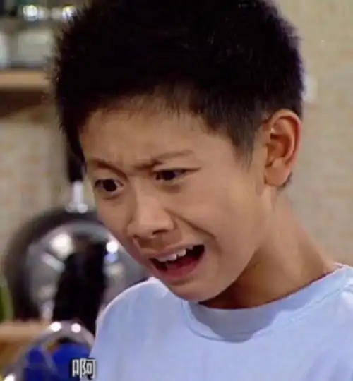 啊(家有儿女刘星)