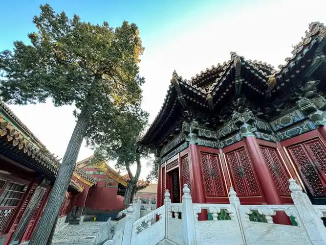 故宫御花园600岁绝美如初_北京日报app北京号