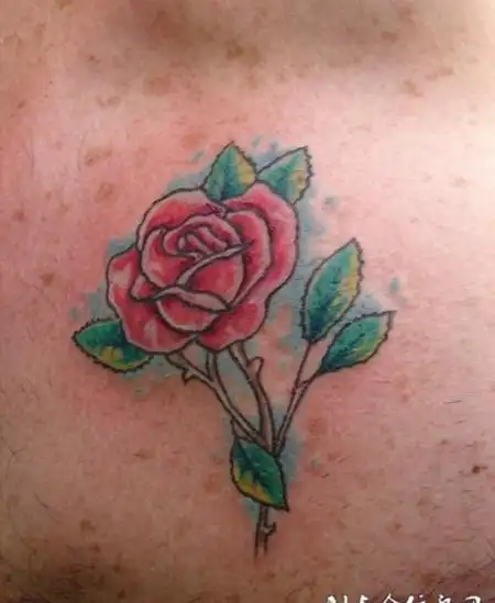 美女胸前蝴蝶胸前的蝴蝶美女纹身图案tag标签:小狗胸前胸前的小狗纹身