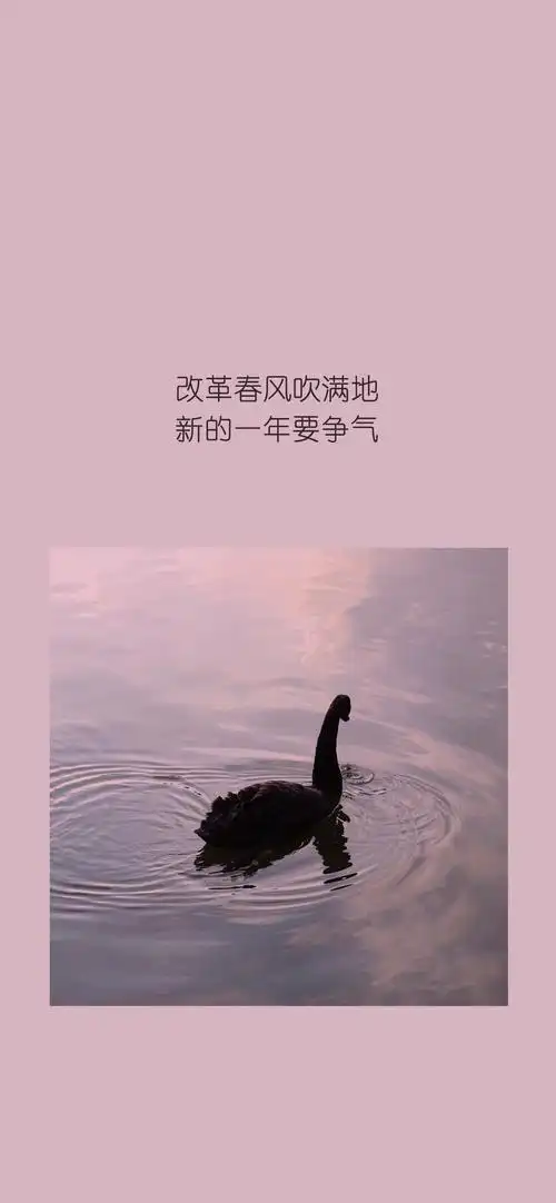 2020心灵鸡汤文字高清手机壁纸