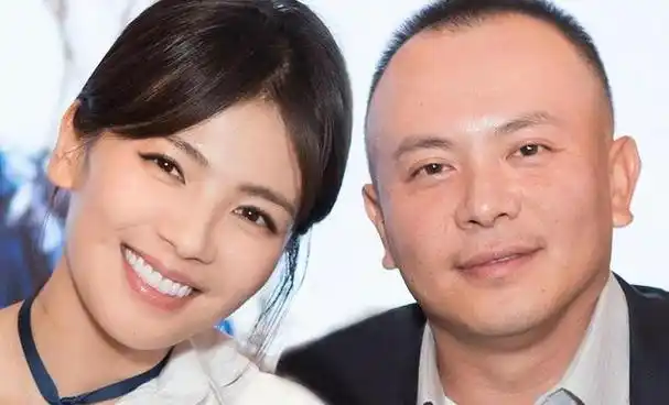 刘涛豪门梦碎急复出三年替老公还4亿