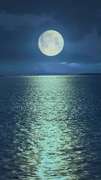 一起看月亮 #唯美意境 #中秋节 #千里共婵 - 抖音