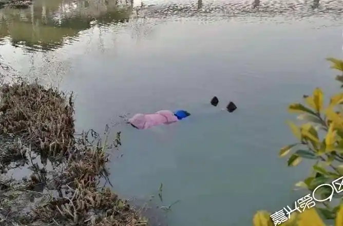 姚家荡一河道惊现女浮尸!