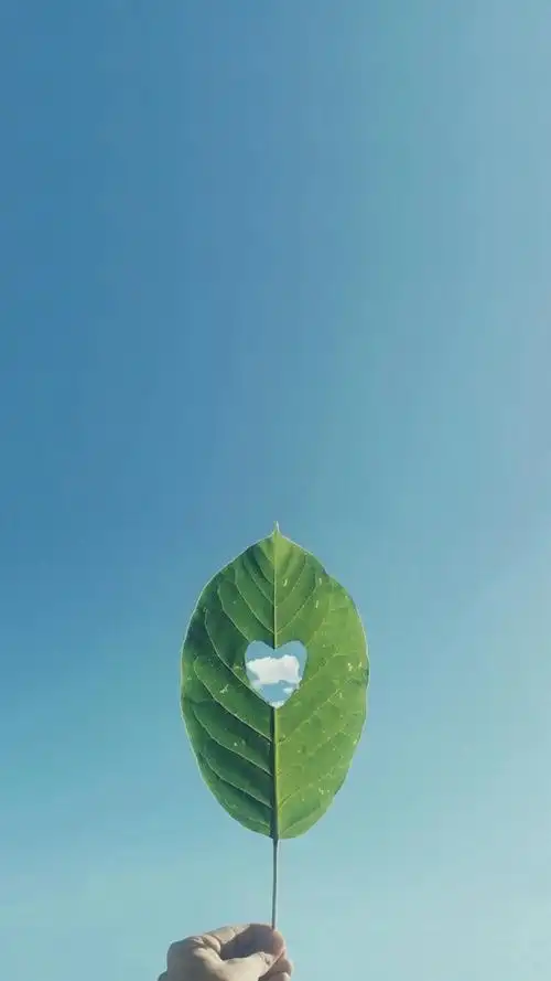 秋高气爽简约冷淡风爱壁纸平铺锁屏可爱小清新