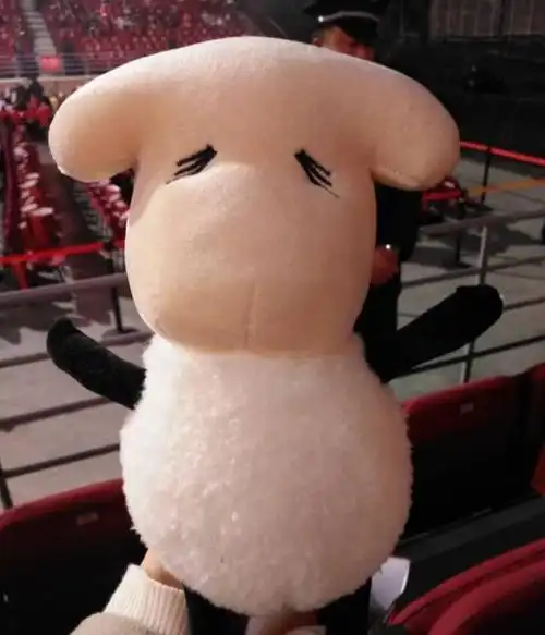 易烊千玺送给粉丝的玫瑰和小羊一个说到做到的男人