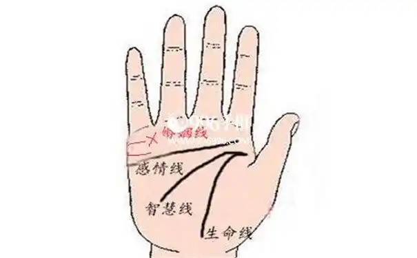 图片来源网络,如有侵权请联系站长删除婚姻线在末端出现分叉其实是一