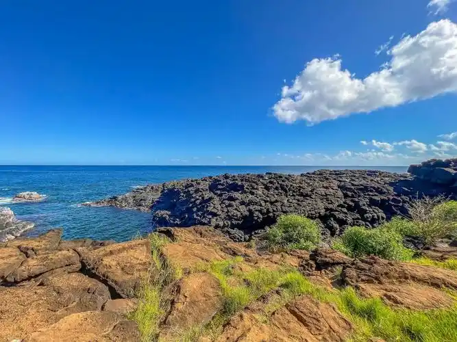 美国最受游客喜爱的海岛,可爱岛,风光绝美堪称"度假伊甸园"|可爱岛|海