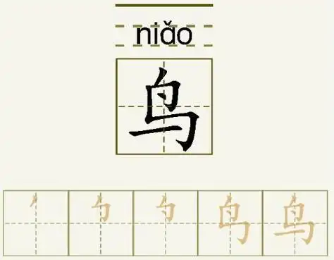 鸟的笔顺_鸟的字义_鸟字演变图
