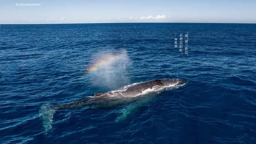 联想锁屏#今日高清壁纸#"疫"波三折后,必将见彩虹