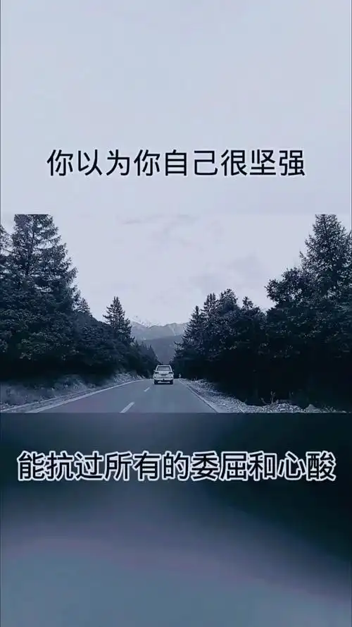 压倒骆驼的就是最后一根稻草而已