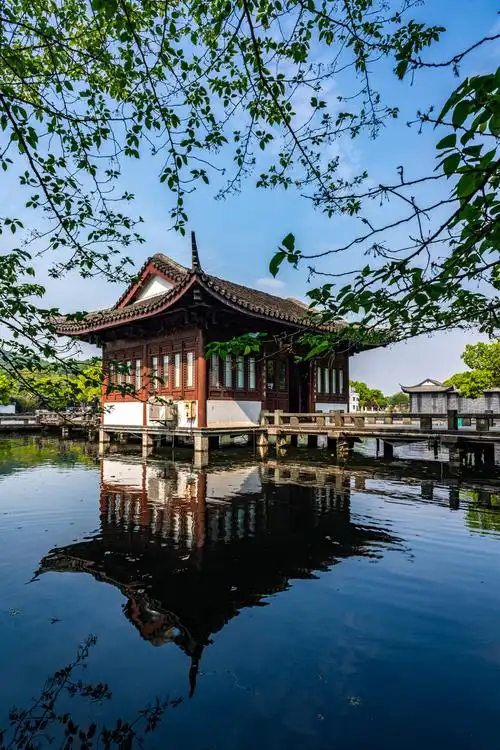 浙江杭州西湖曲院风荷春色