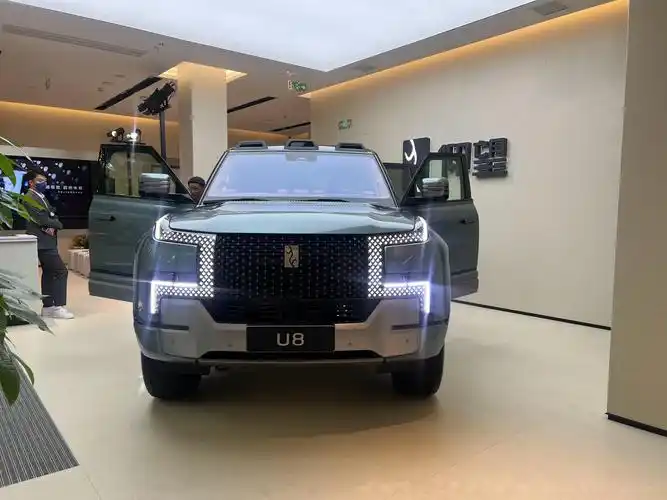 目前国产车的话,标志就是新能源汽车.