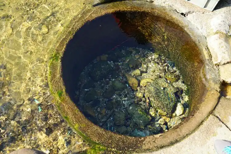 清澈的冷水泉眼