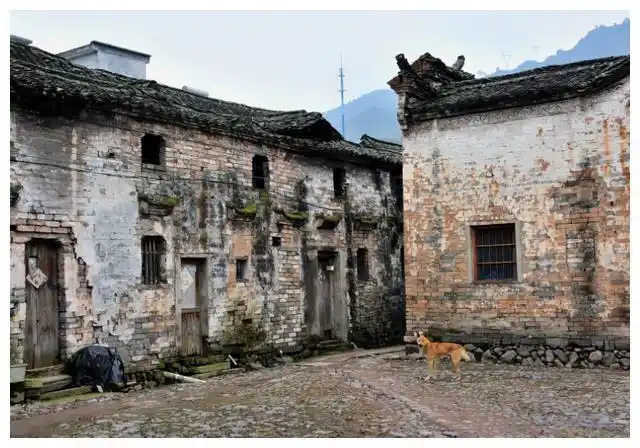 湖南这座宋代古村庄,距今已有800多年历史,免费开放还特别低调