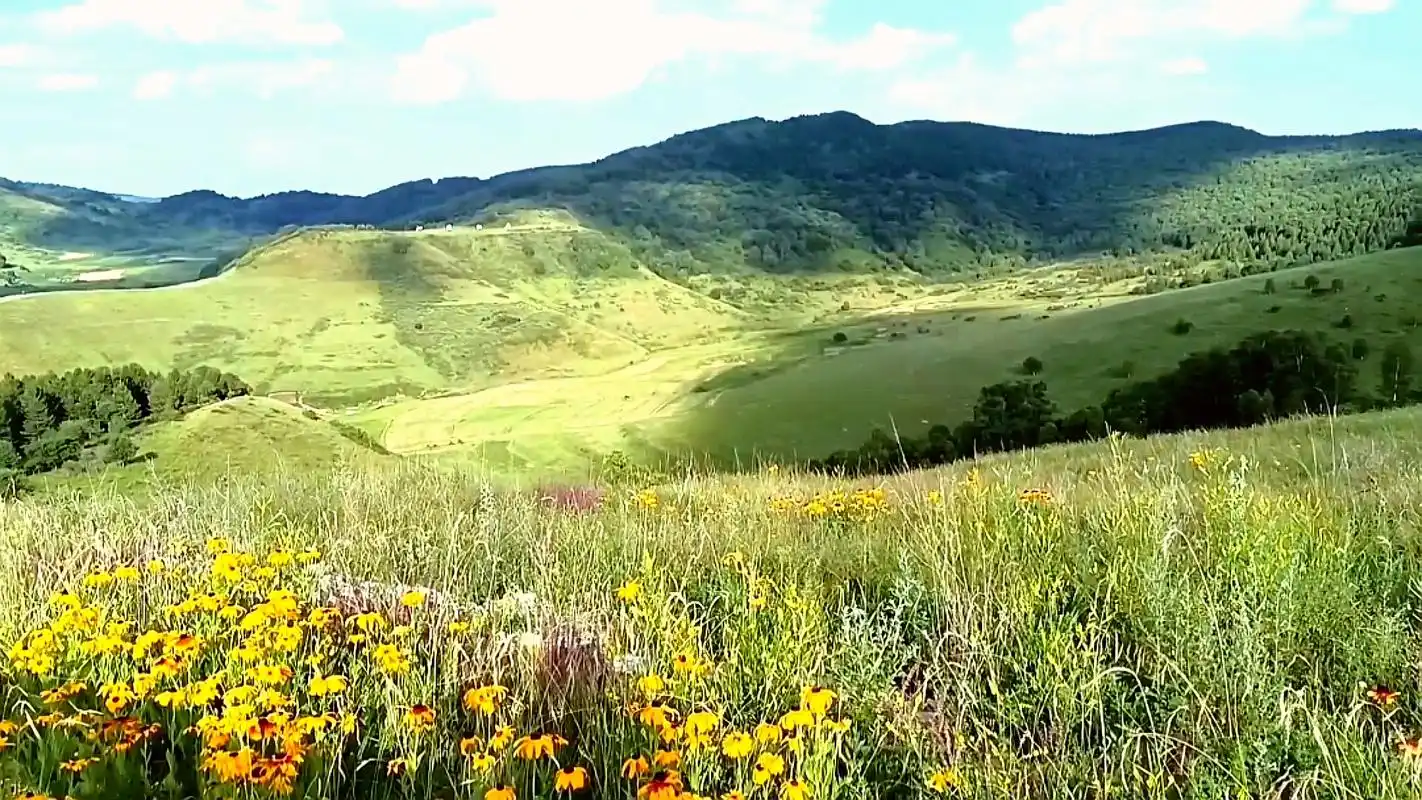沁源的亚高山草甸,震撼人心的美丽和辽阔,只一眼便沦陷