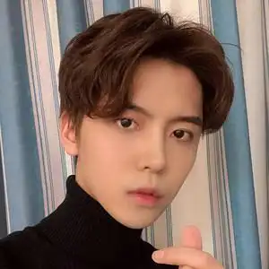 假发男中分刘海短发直发韩版帅气流行网红同款自然蓬松整顶假发套