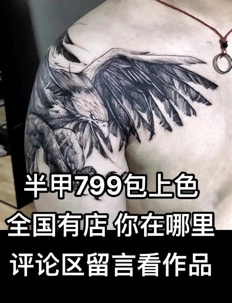 一组半甲老鹰手稿分享,老鹰纹身图案的寓意里代表自由,重生,坚 - 抖音