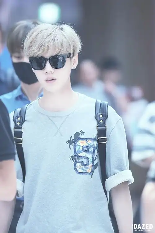 鹿晗鹿晗机场高铁系列