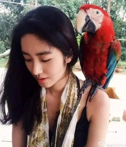 二胡大师晒刘晓莉旧照,感慨其影响自己人生,60岁刘妈妈美貌依旧