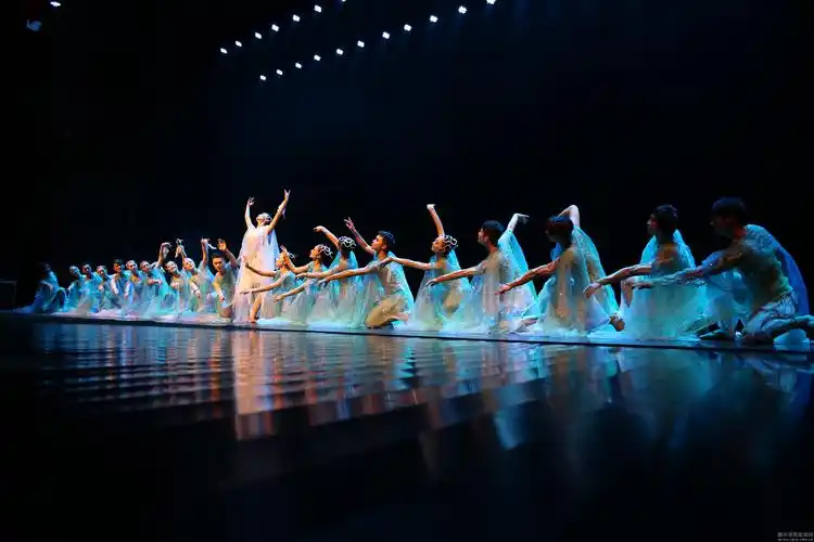 高雅艺术进校园舞蹈专场演出走进我校