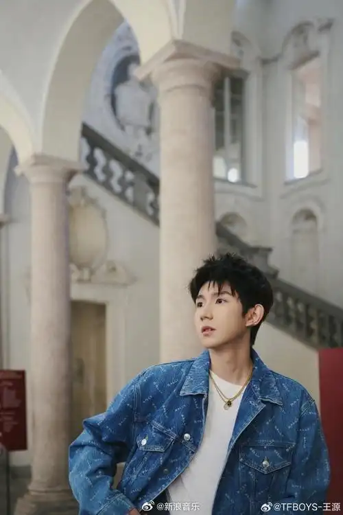 王源微博之夜宣了