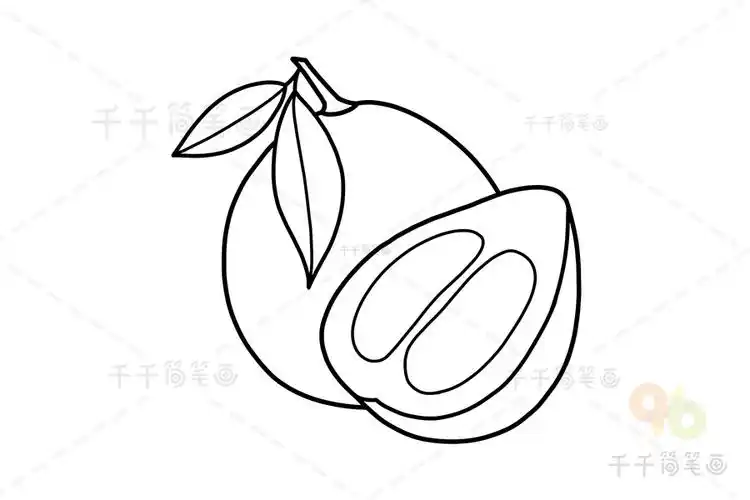 柚子简笔画