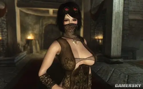 上古卷轴5:天际 性感棕色紧身衣mod