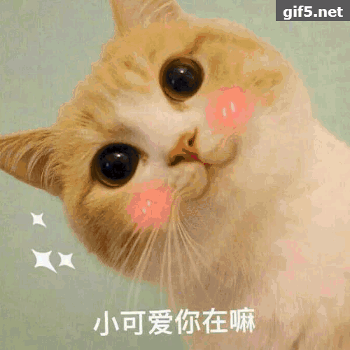 撩人必备女朋友最受不了的表情包