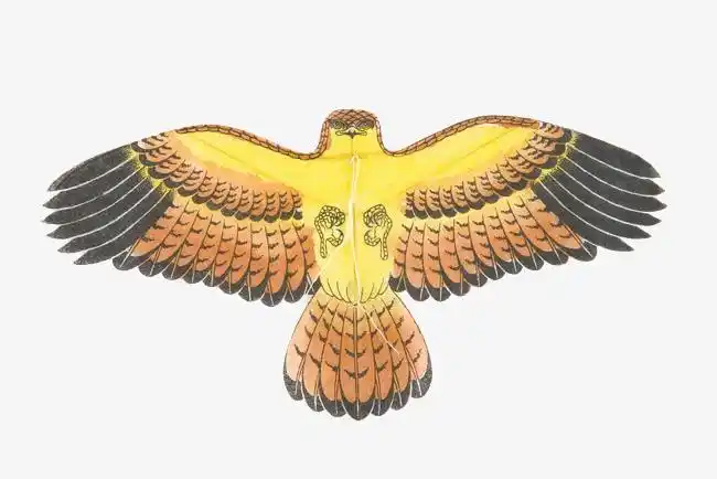 彩色图彩色手绘燕子风筝