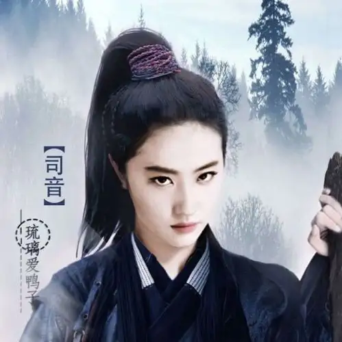 刘亦菲 司音 p图