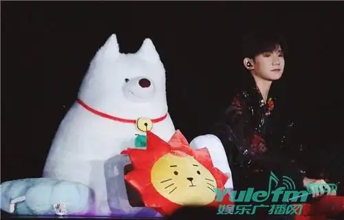 roy6与王源演唱会同框,合唱现场亮点超多