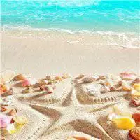 海边沙滩风景图片头像_微信头像图片大全