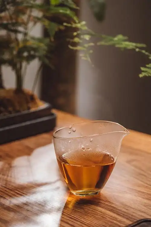 冬天一杯茶来暖心