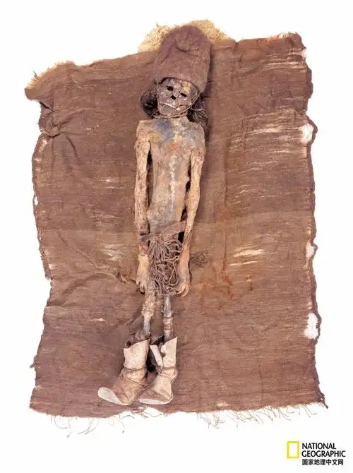 罗布泊恐怖生物照片(罗布泊恐怖生物照片ie=utf-8) - 泉兴百科