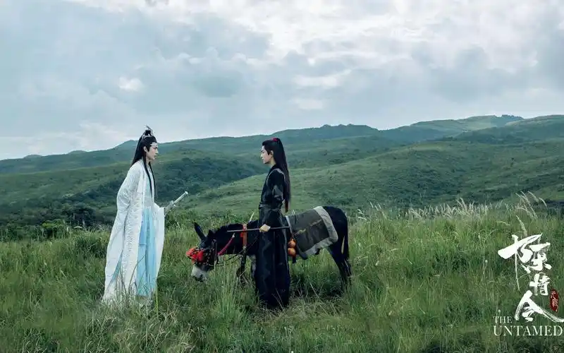 【陈情令】【剧版忘羡】【殊途 l 我们的殊途,还会不会同归】_哔哩