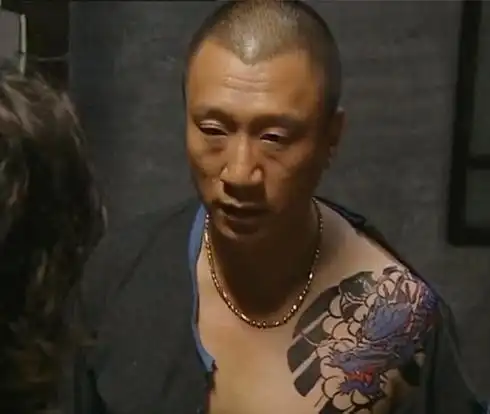 图电视剧征服原型是谁剧本取材于现实生活黑老大