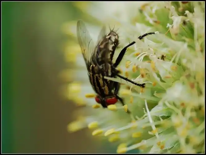 快乐骑行摄影之外拍乌英活动