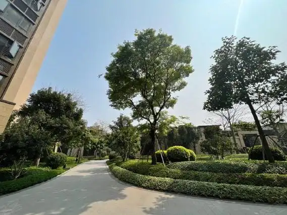 南宁江南沙井大道龙光江南院子急租 非中介 不收中介f 实拍图片 配