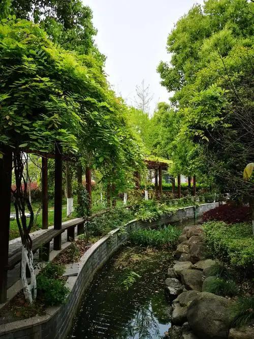 其它 美如画的清风春景图 写美篇  春天的美景让小