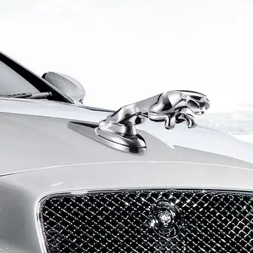 汽车用品超市 高端金属立体标捷豹车标jaguar 机头盖标 捷豹立标