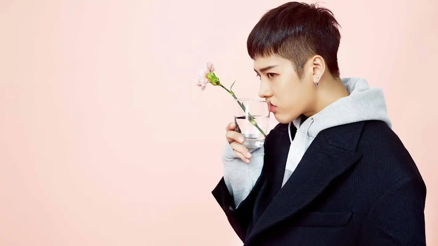 《拜托了冰箱》王嘉尔电脑桌面壁纸高清大图预览1920x1080_港台明星