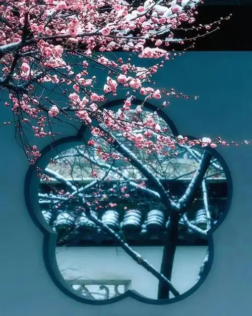 朋友圈意境的文字说说,有点韵味的朋友圈说说(25首意境绝美的诗词)