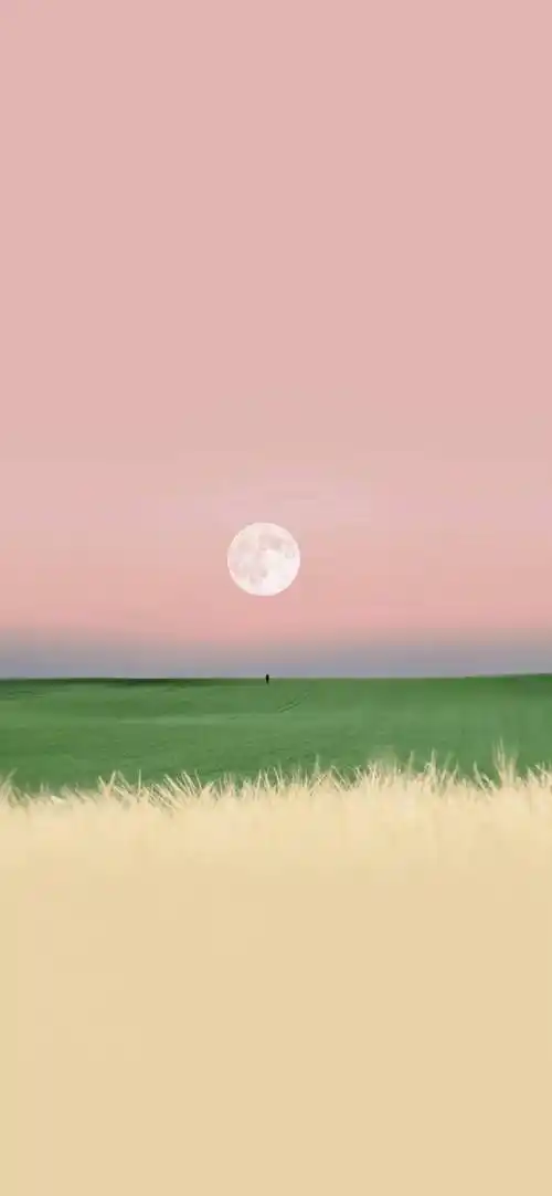 壁纸超棒的ins优质壁纸