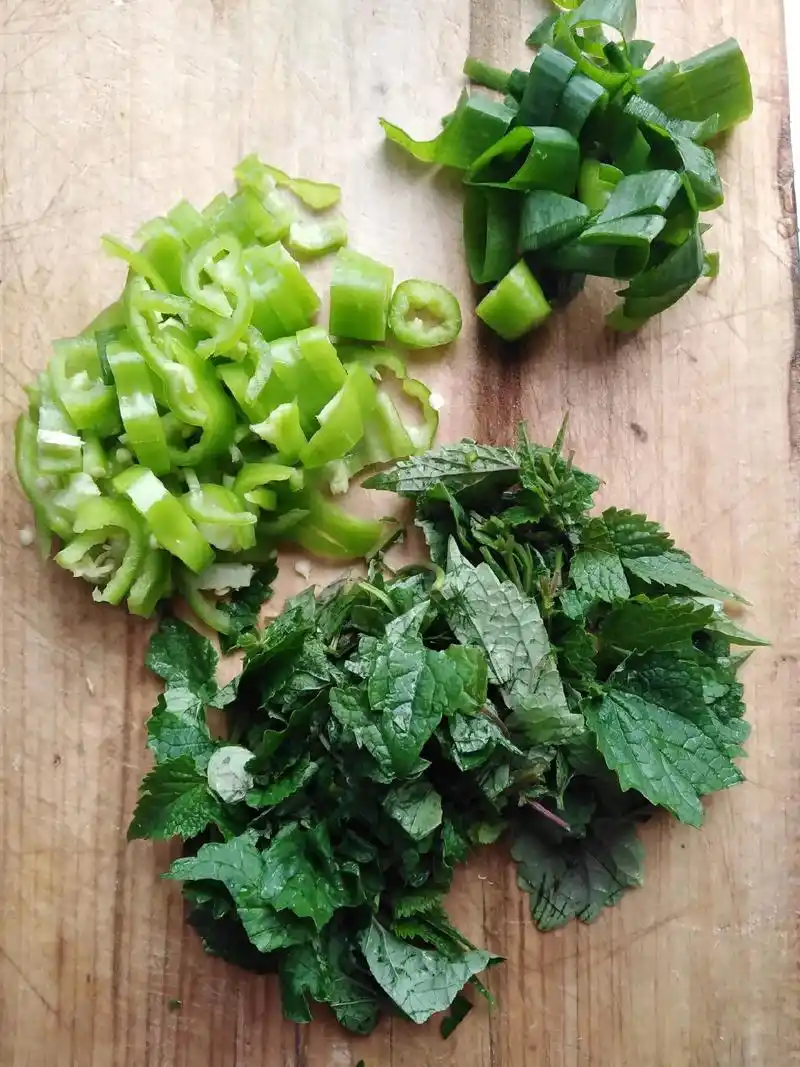 把蒿又名排香草,猫巴蒿,野苏子.来源于 - 抖音