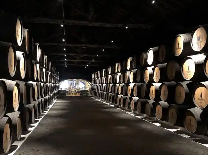 2021桑德曼酒窖游玩攻略,.暗的灯光,古老的酿酒设施.【去哪儿攻略】