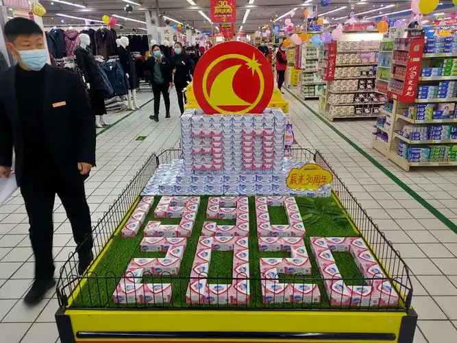 河北辰光超市三十周年店庆艺术陈列作品展示