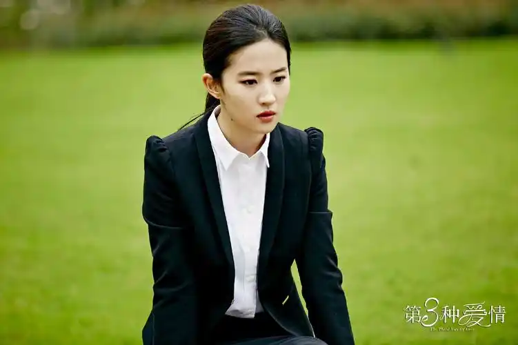 《第三种爱情》邹律师